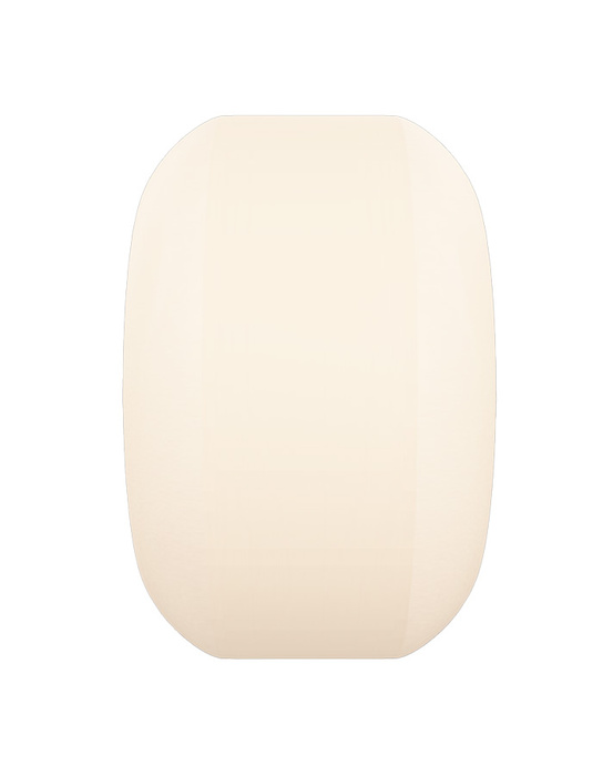 Koła Bones Wheels Sidecut 100s 53mm 100A V5