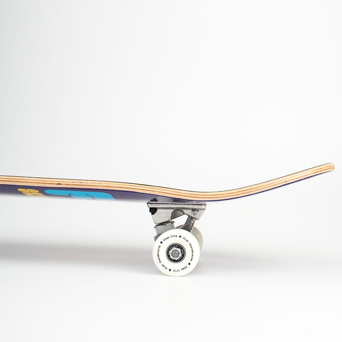 Deskorolka kompletna Fish Skateboards Standard 8.0" Worm