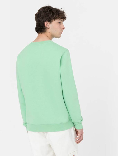 Bluza Dickies Oakport Crew Apple Mint