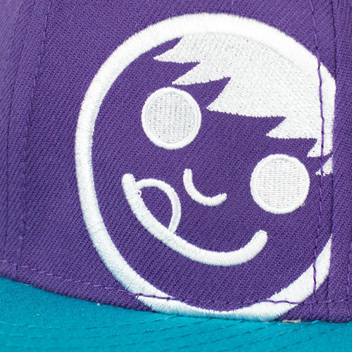 Czapka Neff FW13 Corpo Blue Purple White