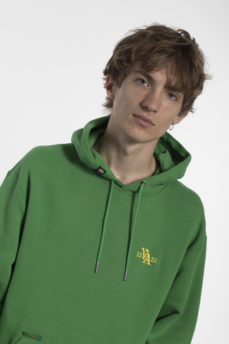 Bluza Dickies M Vincent Graphic Hoodie Leaf Green
