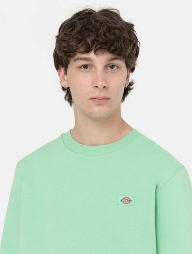 Bluza Dickies Oakport Crew Apple Mint
