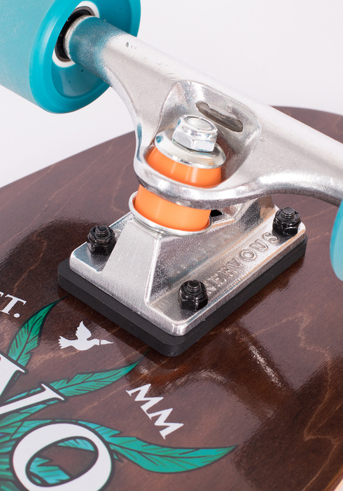 Deskorolka Cruiser Nervous Lion