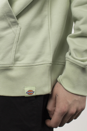 Bluza Dickies Loretto Hoodie Celadon Green