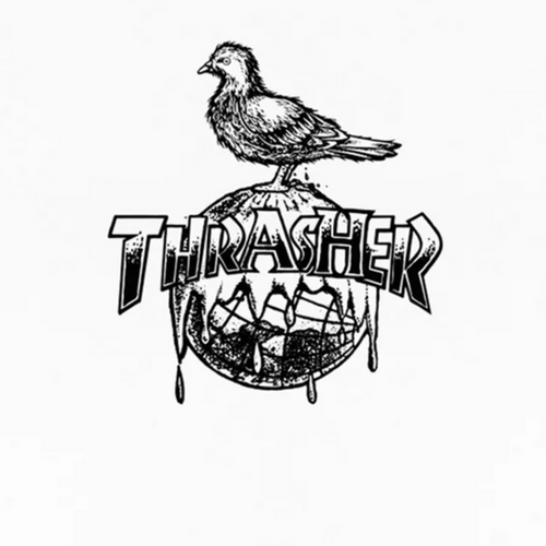 Koszulka Thrasher x Antihero Cover The Earth White