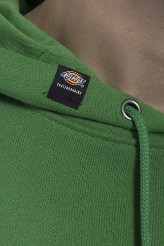 Bluza Dickies M Vincent Graphic Hoodie Leaf Green